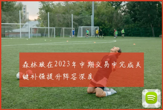 森林狼在2023年中期交易中完成关键补强提升阵容深度