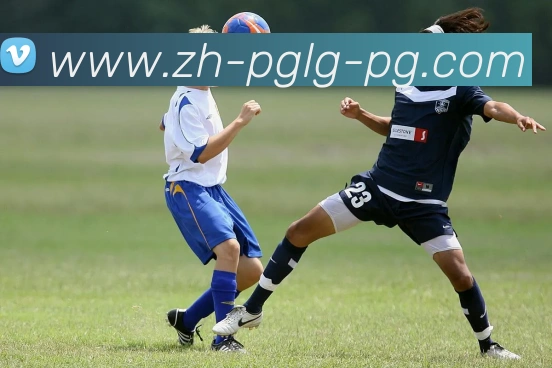 PG模拟器发展历程